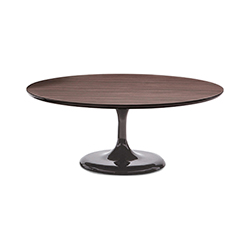 Neto Coffee Table CG-B1026