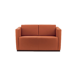 elton 2-seater sofas CG-S011-2