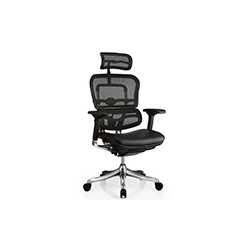 Erghuman office chair CG--1003-1