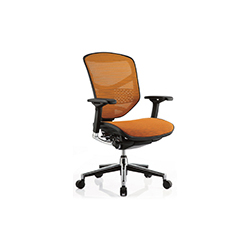 ENJOY office chair CG-׿-1005-9